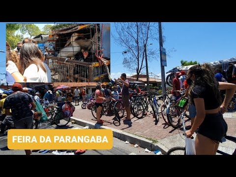 CONHEÇA A FEIRA LIVRE DA PARANGABA FORTALEZA CE